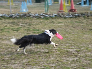 b0074782_21151117.jpg