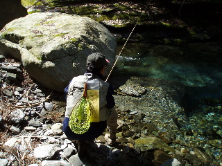 a0089288_040245.jpg