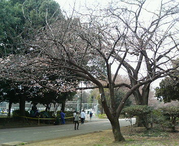 b0001888_1355267.jpg