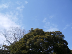 a0061594_23591647.jpg