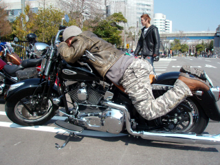 b0013897_175655.jpg