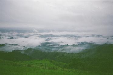 e0106098_15114439.jpg