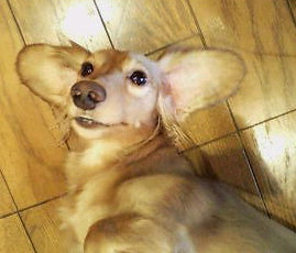 c0087001_10134269.jpg