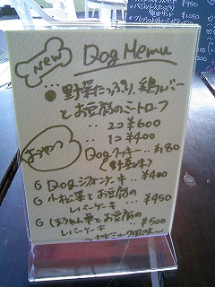 d0080601_2142384.jpg