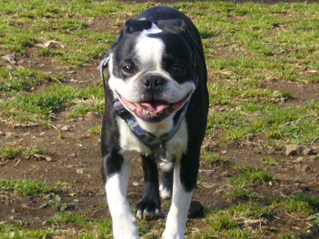 d0070702_21050100.jpg
