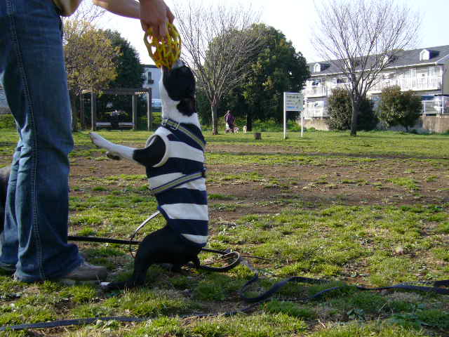 d0070702_21104981.jpg