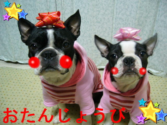 d0070702_21205287.jpg