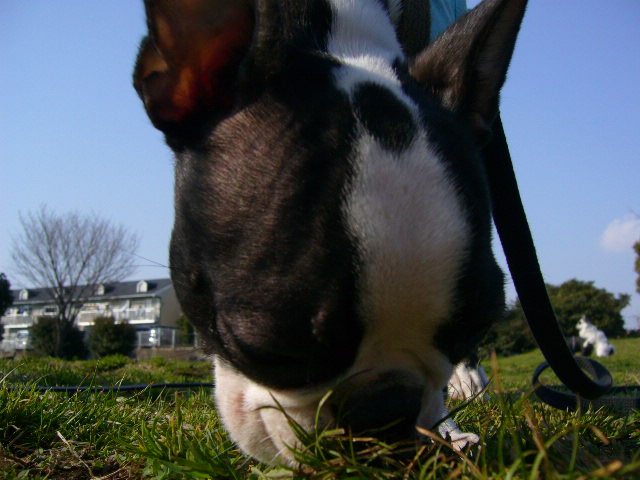 d0070702_2181075.jpg