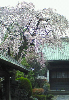 e0040602_2132473.jpg