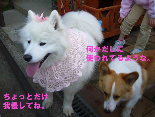 e0018604_1750896.jpg