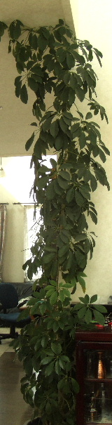 f0041606_19551881.jpg