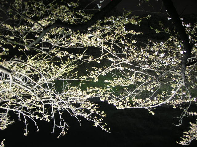 b0089407_10443124.jpg