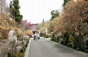c0073016_21594897.jpg
