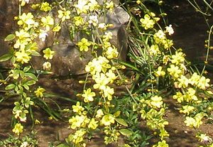 c0073016_235307.jpg