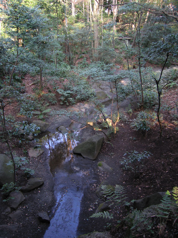 f0056516_2317165.jpg