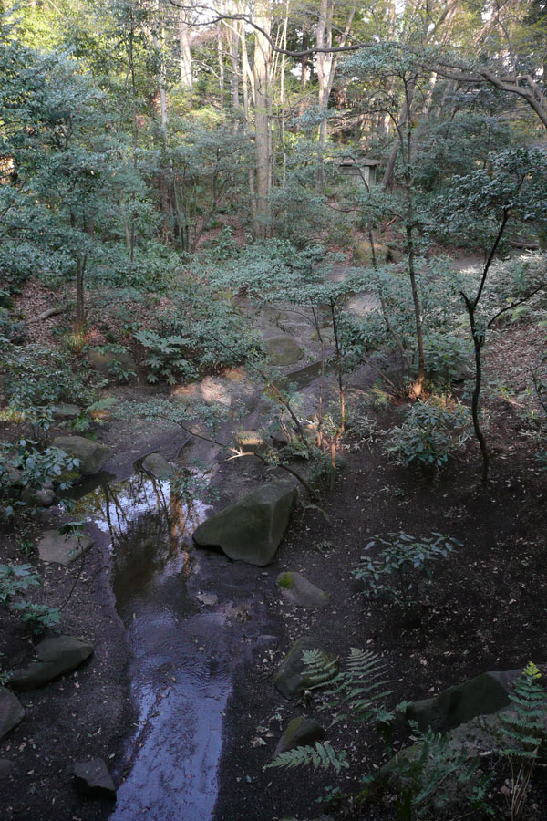 f0056516_23175697.jpg