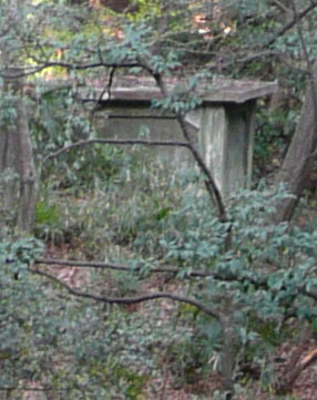 f0056516_2321333.jpg
