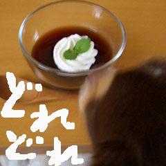 c0036617_2142668.jpg
