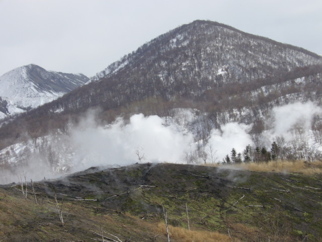 d0087418_125942.jpg