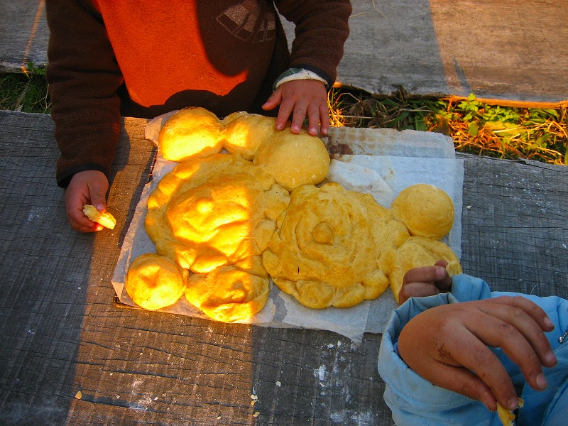 e0103719_6313336.jpg