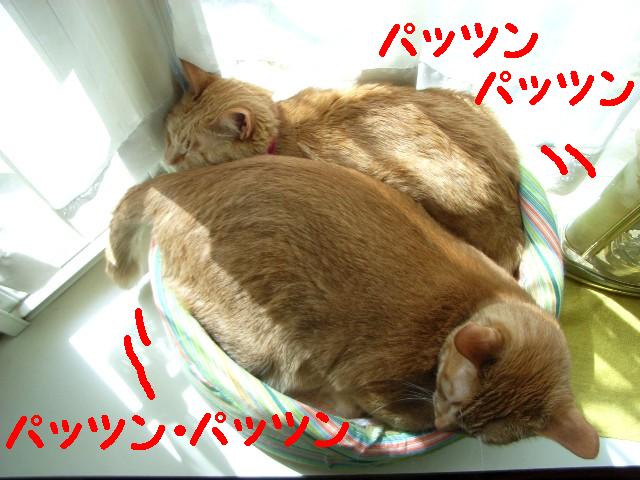 d0081025_1912134.jpg