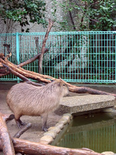 f0138828_11225476.jpg