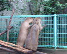 f0138828_11252034.jpg