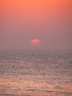 d0018131_683748.jpg