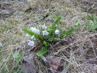 f0105732_17572370.jpg