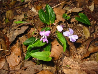 f0105732_17573432.jpg