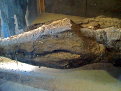 e0087035_11183050.jpg