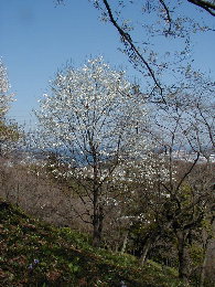 a0013236_15212449.jpg