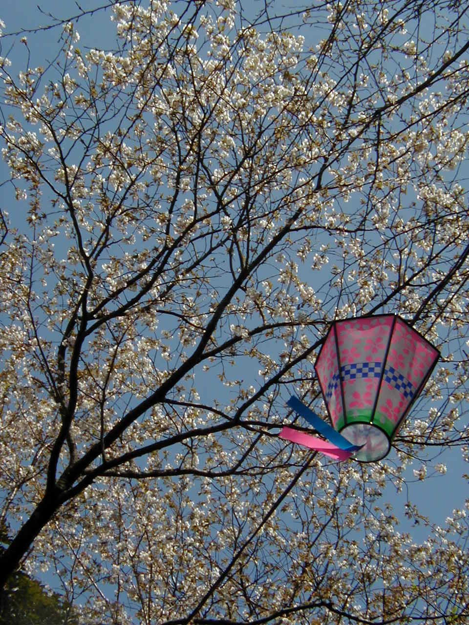 a0013236_15225912.jpg