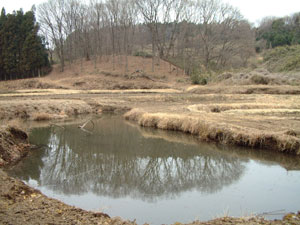b0076836_15233822.jpg