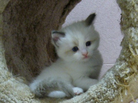 a0062240_16291033.jpg