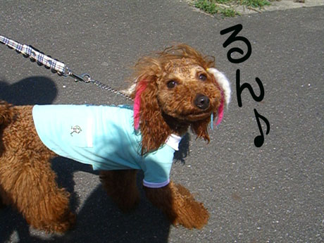 c0115145_16491161.jpg