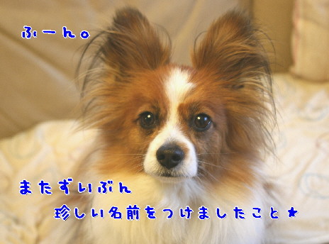d0013149_01398.jpg