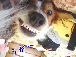 d0013149_0305755.jpg