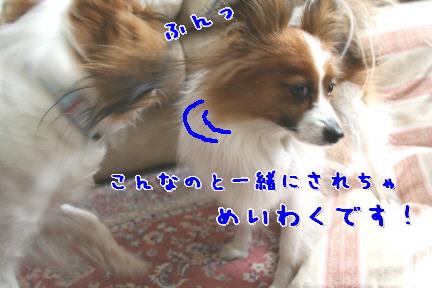 d0013149_054989.jpg