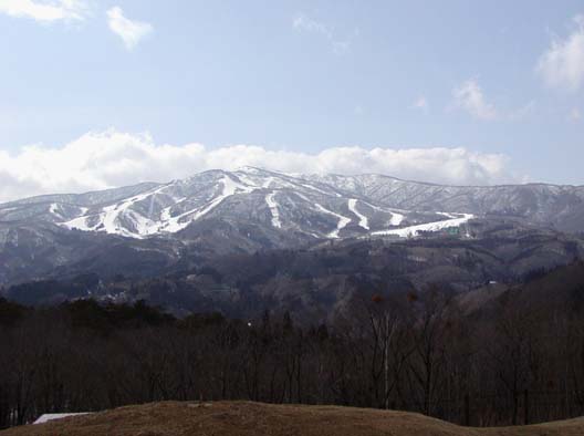 b0099250_14331528.jpg