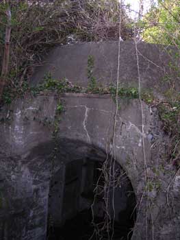 b0078754_19402616.jpg