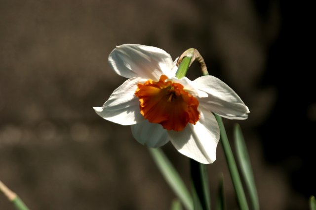 f0044056_11165646.jpg