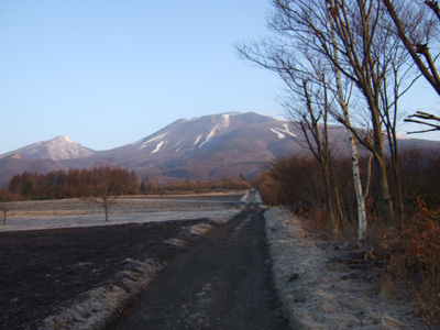 b0045357_1313397.jpg