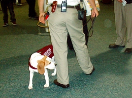 b0003270_15421436.jpg