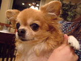 f0052071_7542788.jpg