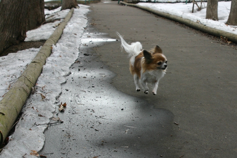 a0016775_22224058.jpg