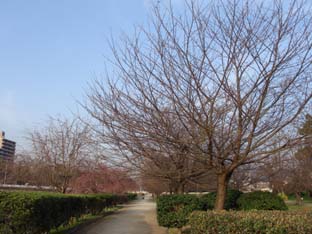 e0012580_21371864.jpg