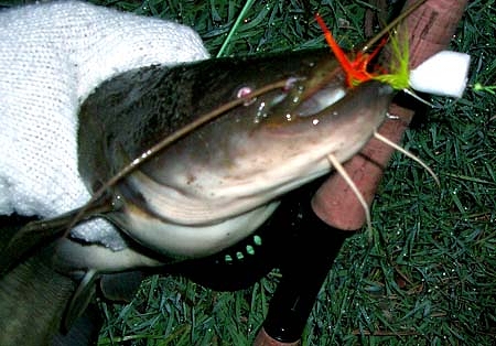 c0006592_21195357.jpg