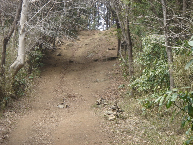d0090192_236196.jpg
