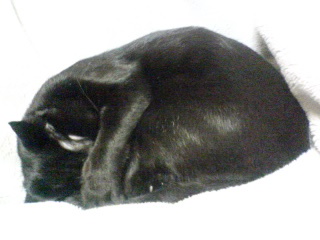 d0015894_13243651.jpg